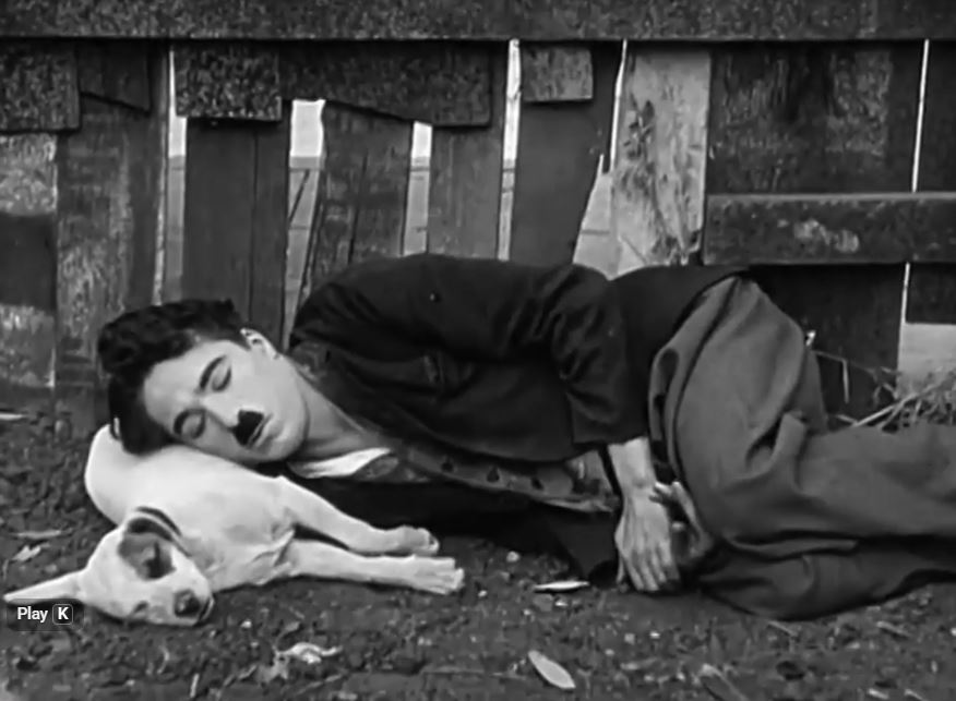 A Dog's Life (1918)