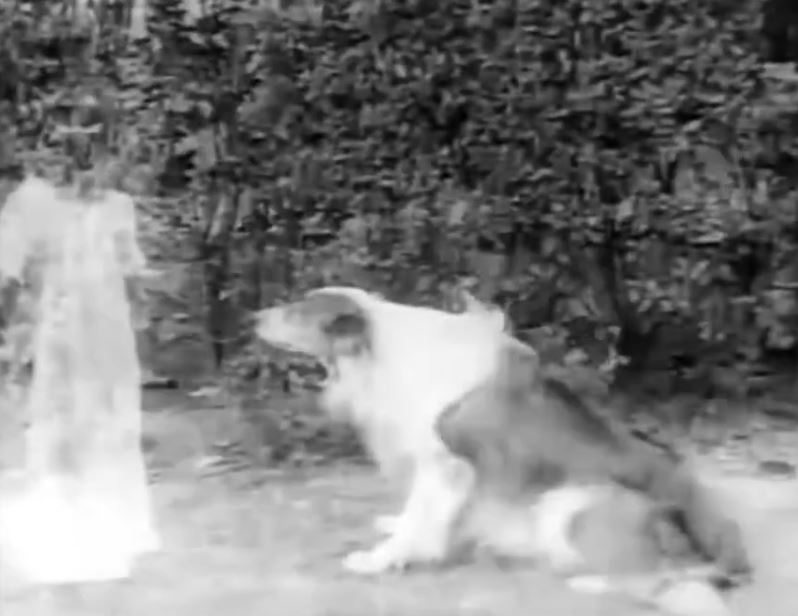 A Dog's Love (1914)